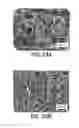 Fig. 19 - SOLID-STATE THERMOPLASTIC NANOFOAMS