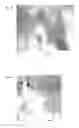Fig. 03 - Polyarylene sulfide resin composition and method for producing same
