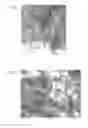 Fig. 04 - Polyarylene sulfide resin composition and method for producing same