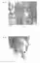 Fig. 05 - Polyarylene sulfide resin composition and method for producing same