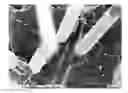 Fig. 01 - Composite material for means of transport including polypropylene resin and long carbon fiber