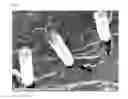 Fig. 03 - Composite material for means of transport including polypropylene resin and long carbon fiber