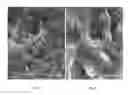 Fig. 05 - Self-suspending proppants for hydraulic fracturing
