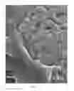 Fig. 06 - Self-suspending proppants for hydraulic fracturing