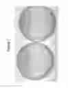 Fig. 02 - TRANSGENIC ALGAE ENGINEERED FOR HIGHER PERFORMANCE