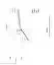 Fig. 30 - FERMENTATION PROCESSES FOR CULTIVATING STREPTOCOCCI AND PURIFICATION PROCESSES FOR OBTAINING CPS THEREFROM