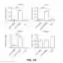 Fig. 03 - GENERATION OF MALE GERM CELLS