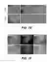 Fig. 14 - GENERATION OF MALE GERM CELLS