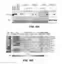 Fig. 42 - GENERATION OF MALE GERM CELLS