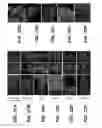 Fig. 52 - GENERATION OF MALE GERM CELLS