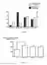 Fig. 06 - METHODS AND COMPOSITIONS FOR PRODUCING GERM CELLS FROM BONE MARROW DERIVED GERMLINE STEM CELLS