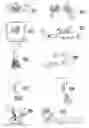 Fig. 01 - SKIN PRINTING AND AUTO-GRAFTING