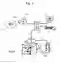 Fig. 02 - SKIN PRINTING AND AUTO-GRAFTING