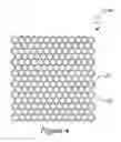 Fig. 05 - SKIN PRINTING AND AUTO-GRAFTING