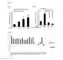 Fig. 02 - Induced pluripotent stem cell selection method and method for inducing differentiation to blood cells