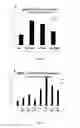 Fig. 05 - P38 MAPK INHIBITOR-CONTAINING MEDIUM AND METHOD FOR OSTEOGENIC DIFFERENTIATION