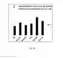 Fig. 06 - P38 MAPK INHIBITOR-CONTAINING MEDIUM AND METHOD FOR OSTEOGENIC DIFFERENTIATION