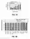 Fig. 06 - COMPOSITIONS AND METHODS OF FUNCTIONALLY ENHANCED IN VITRO CELL CULTURE SYSTEM