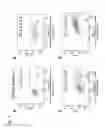Fig. 02 - Method for producing renal progenitor cells