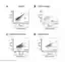 Fig. 03 - Method for producing renal progenitor cells