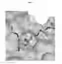 Fig. 03 - CRYSTAL STRUCTURE OF BLOOD COAGULATION FACTOR XIIIA