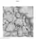 Fig. 06 - CRYSTAL STRUCTURE OF BLOOD COAGULATION FACTOR XIIIA