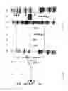 Fig. 04 - Method for purifying active GLA-domain coagulation proteins