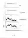 Fig. 24 - Amino acid sequence presenting fusion polypeptide and its use
