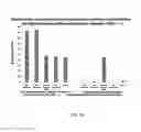 Fig. 09 - System and method for selective ablation of cancer cells with cold atmospheric plasma