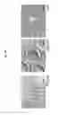 Fig. 03 - SUBSTANTIALLY UNBIASED AMPLIFICATION OF GENOMES