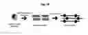 Fig. 05 - SUBSTANTIALLY UNBIASED AMPLIFICATION OF GENOMES