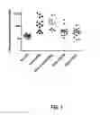 Fig. 02 - Microrna compounds and methods for modulating MIR-21 activity