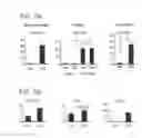 Fig. 08 - Microrna and uses in brown fat differentiation
