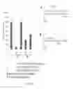 Fig. 05 - Immune regulatory oligonucleotide (IRO) compounds to modulate toll-like receptor based immune response