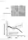 Fig. 08 - Screening Method For Compound Having Obesity Preventive Or Therapeutic Activity