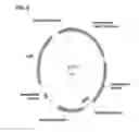 Fig. 09 - Compositions and methods for clostridial transformation