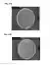 Fig. 22 - Compositions and methods for clostridial transformation