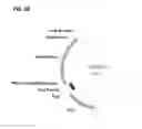 Fig. 32 - Compositions and methods for clostridial transformation