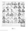 Fig. 02 - Protein production in transgenic potato plants having suppressed expression of patatin and CD4B