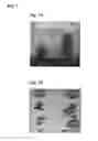 Fig. 06 - Methods and Compositions for Improvement in Seed Yield