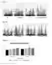 Fig. 22 - Methods and Compositions for Improvement in Seed Yield