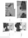 Fig. 09 - Methods of increasing abiotic stress tolerance, yield and/or biomass in plants