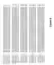 Fig. 07 - Wheat stem rust resistance gene