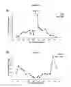 Fig. 26 - Methods and compositions for target DNA modification