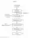 Fig. 03 - Production method for tagatose