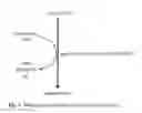 Fig. 04 - Bioproduction of chemicals