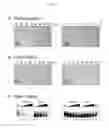 Fig. 08 - METHDS AND COMPOSITIONS FOR REPLICATION OF THREOSE NUCLEIC ACIDS