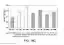 Fig. 28 - METHODS TO CONTROL PROTEIN HETEROGENEITY