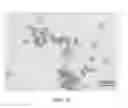 Fig. 09 - Rapid cell purification systems