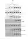 Fig. 02 - Mapping cytosine modifications